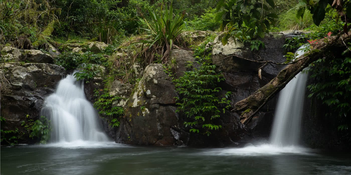 A Step Back In Time // Border Ranges National Park (NSW) by Conor Moore Evans Falls