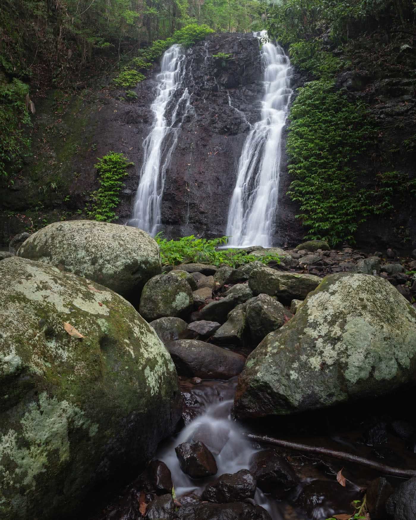A Step Back In Time // Border Ranges National Park (NSW) by Conor Moore Brushbox Falls, waterfall 