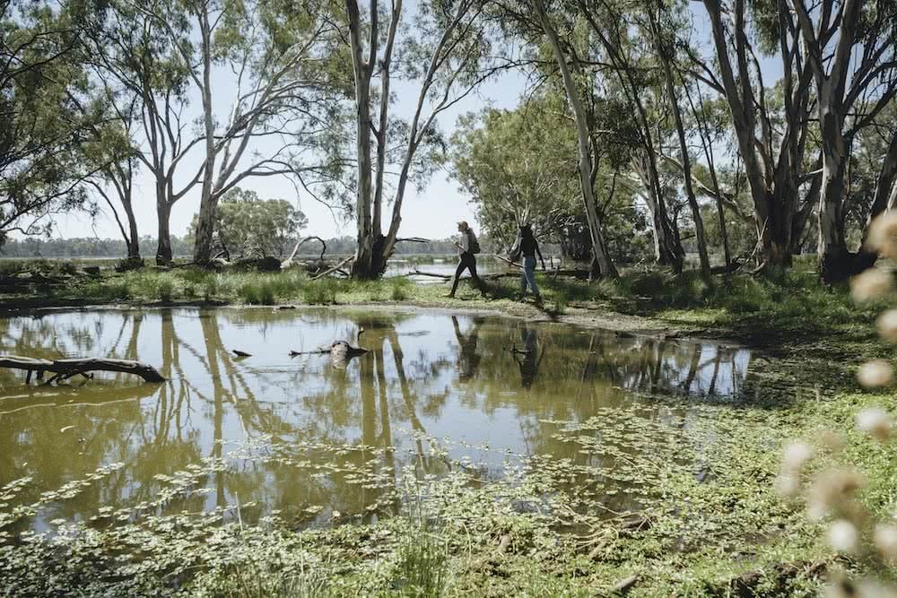 Australia's Oldest Human Remains Can Be Found Where The Outback Meets The Wetlands, photo by Ain Raadik, wetlands, Destination NSW, Balranald, yanga national park
