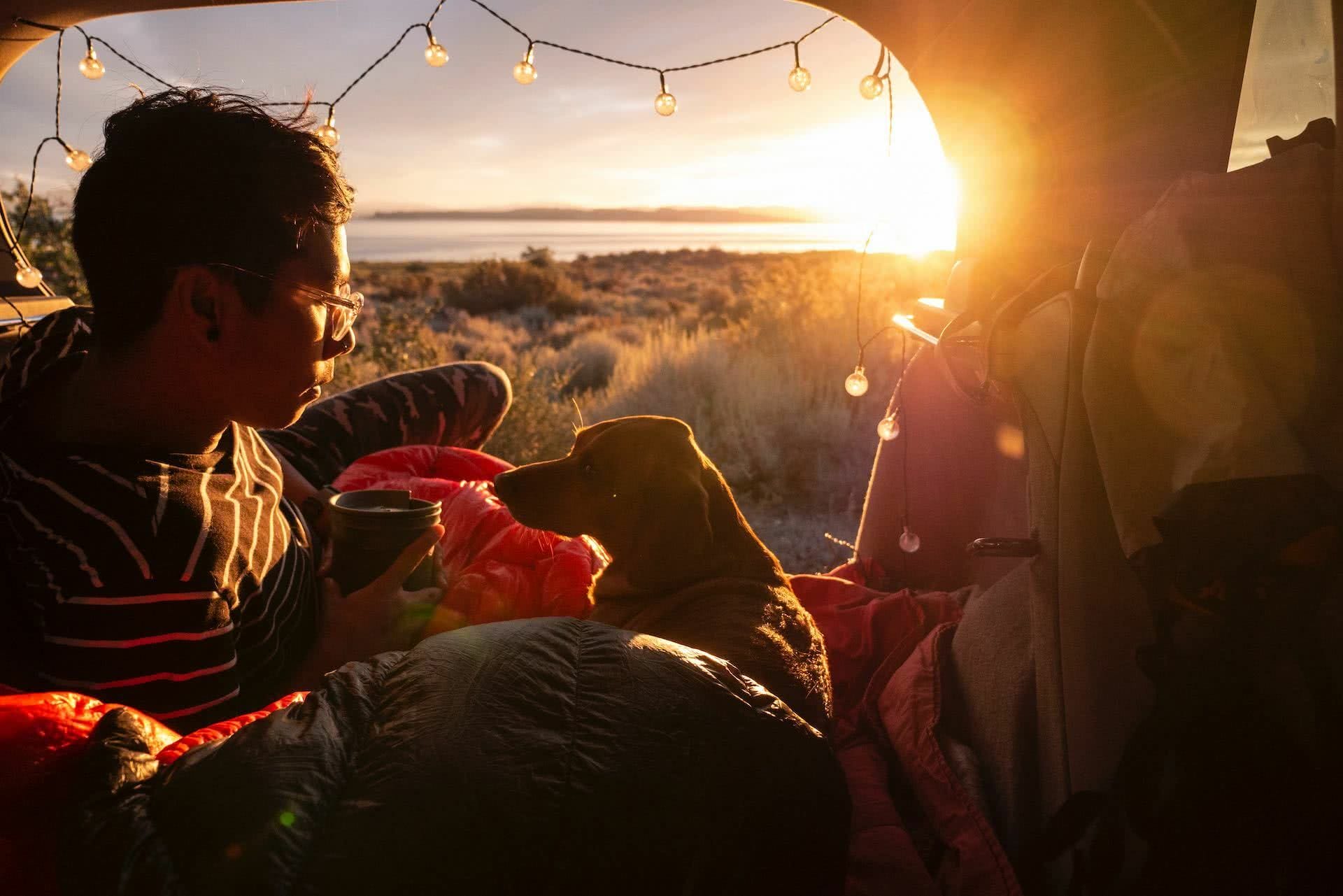 The Best Dog Friendly Camping In Victoria, Pat Corden, photo by Hoang M Nquyen from Unsplash, dog, tent, person, lake, sunset, lights, sleeping bag