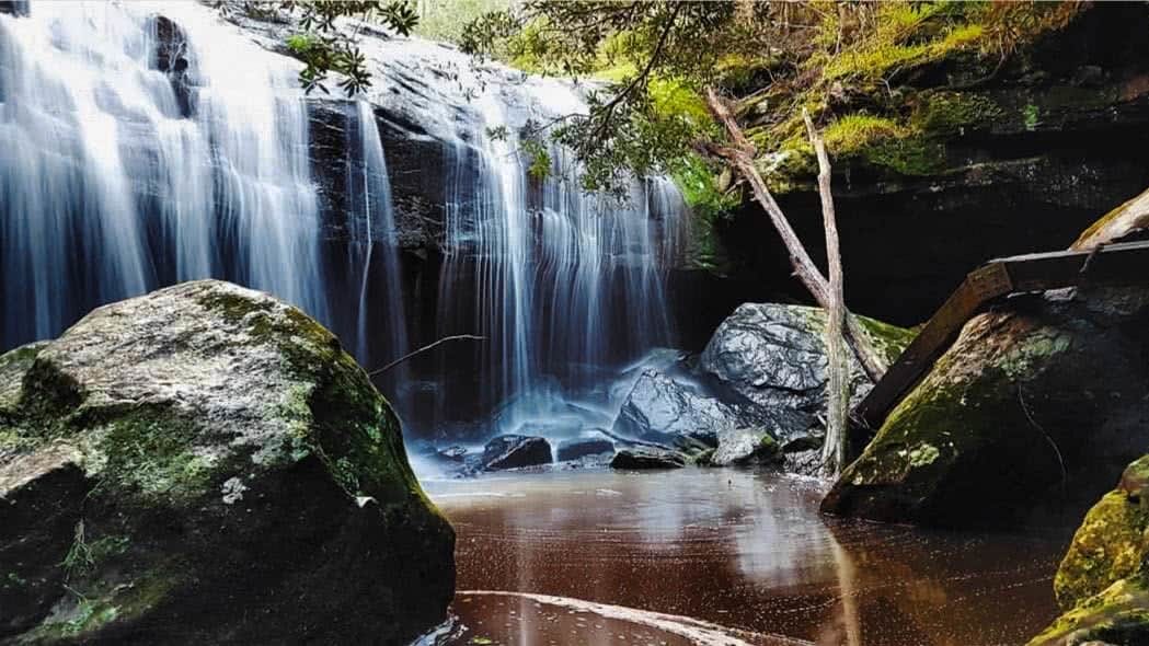 A hidden jungle - the yuelarbah track, by Damon Tually waterfall