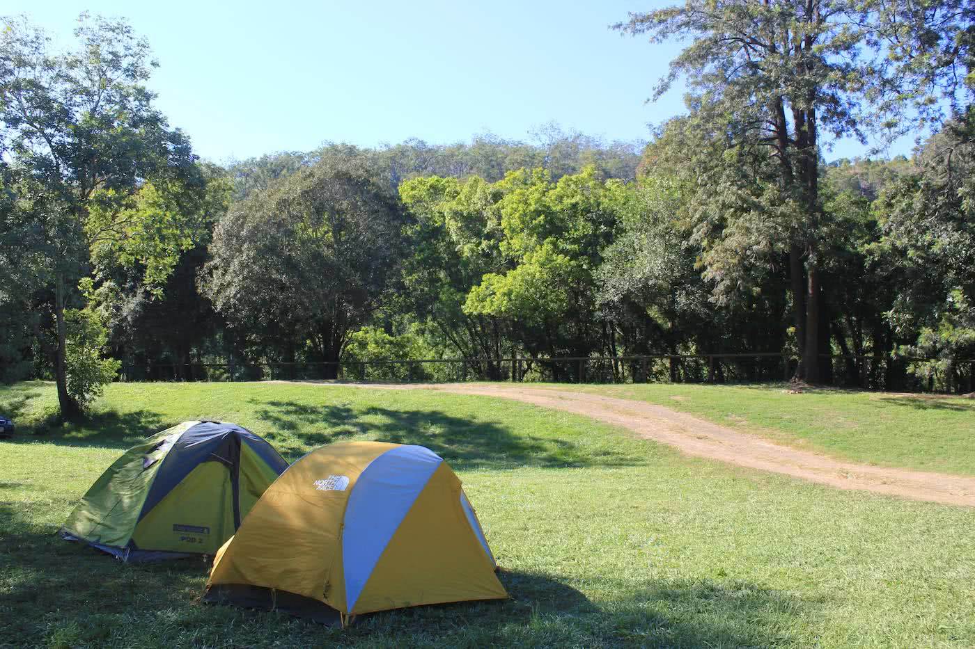 9 Awesome Dog Friendly Campsites Near Brisbane by Saphira Schroers, Glastonbury Creek Campground, tents