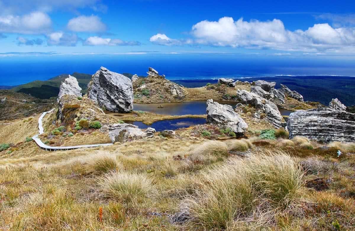 The Hump Ridge Track Could Be NZ's Newest Great Walk photo by Hump Ridge Track Ltd