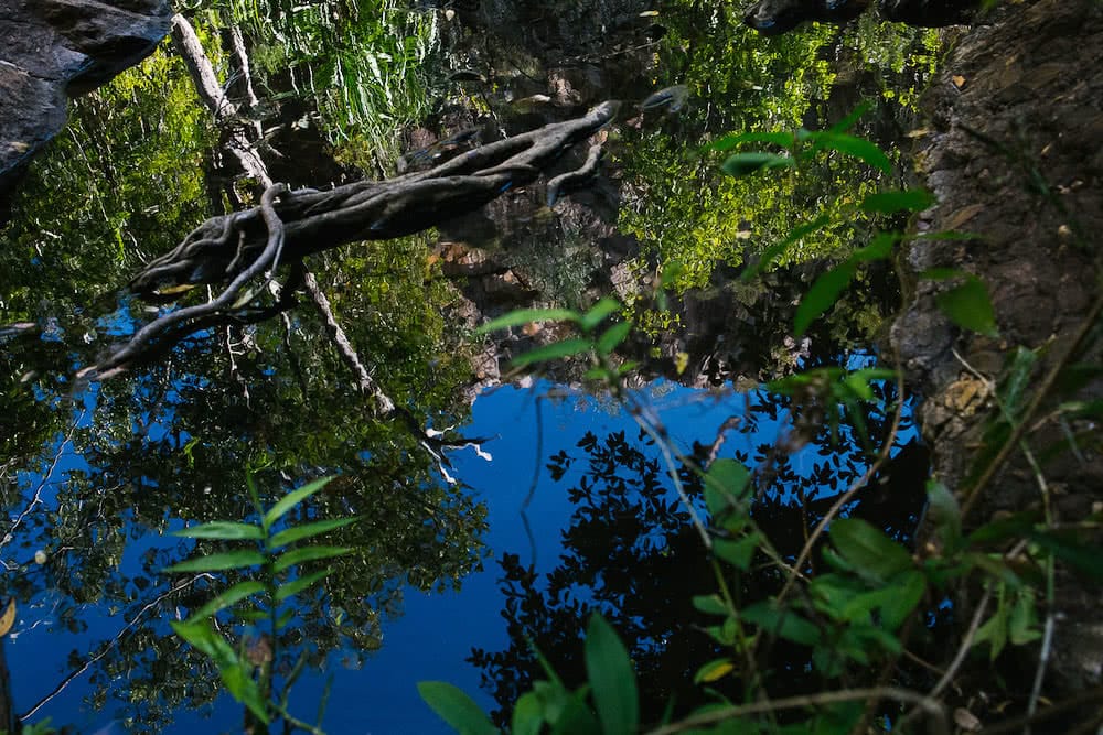 Bininj Country, waterhole, photo by Bee Stephens, northern territory