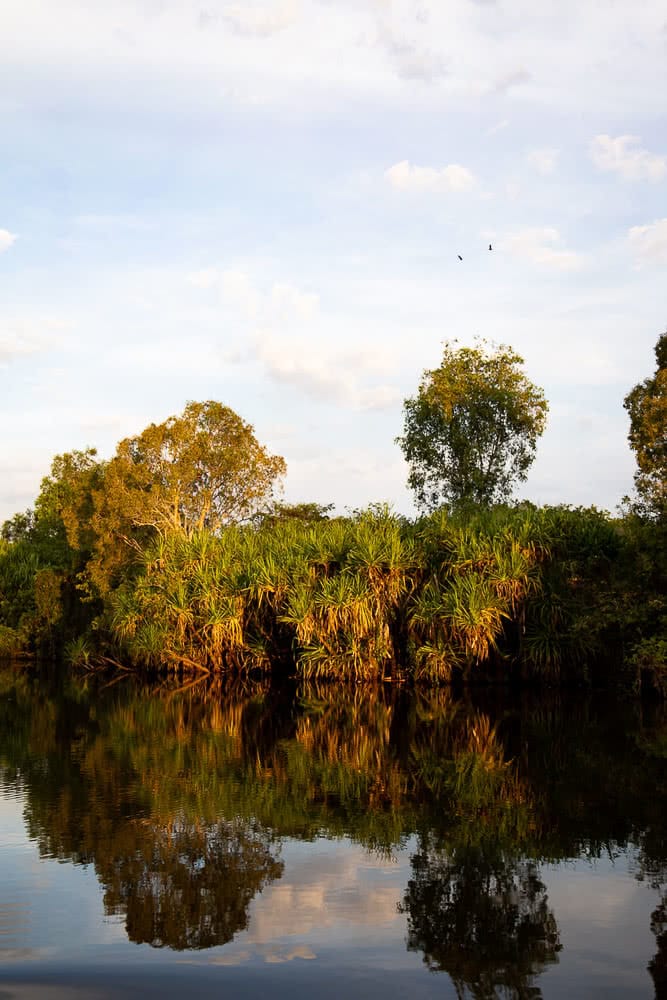 Yellowwater, River, Crocodile tours, Photo by bee stephens, Northern Territory