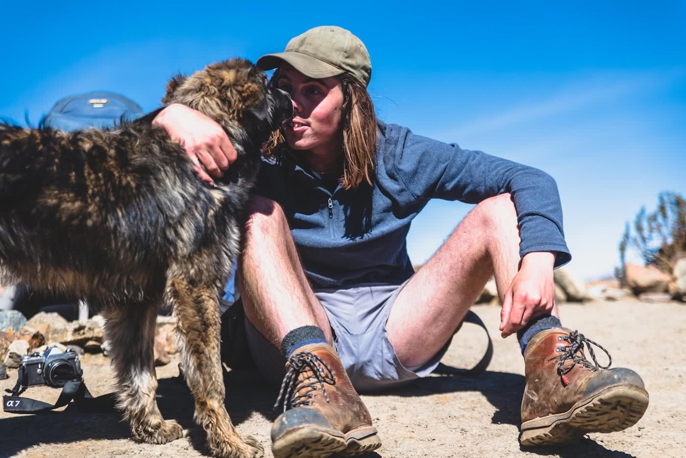 The best dog friendly campsites in Victoria, by Pat Corden, dog, tent, adventuredog