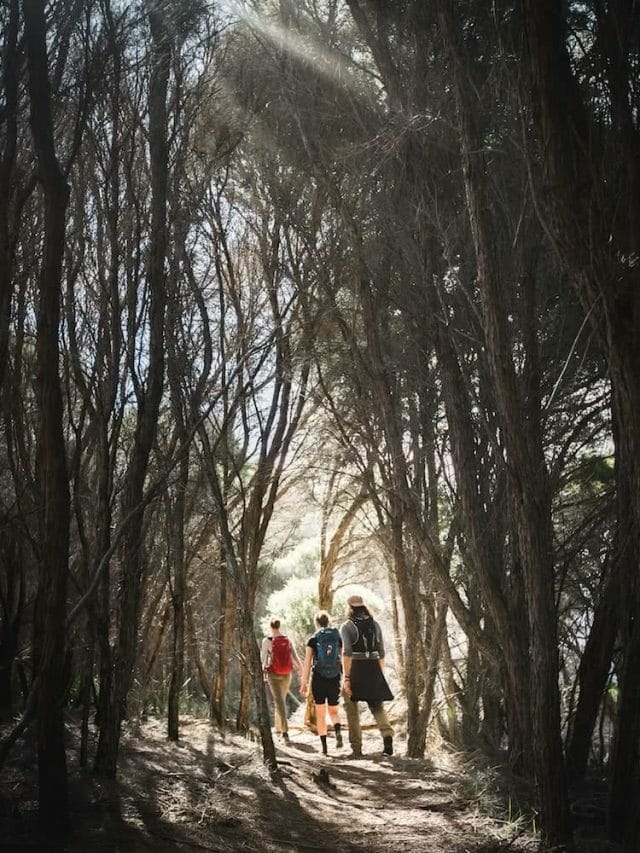 5 Best Overnight Hikes Near Sydney, NSW