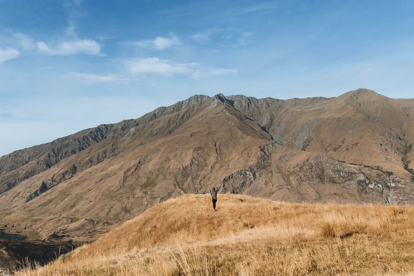 Sunrise & Solitude – Hiking Wanaka’s Rocky Mountain // (NZ), mountain, person