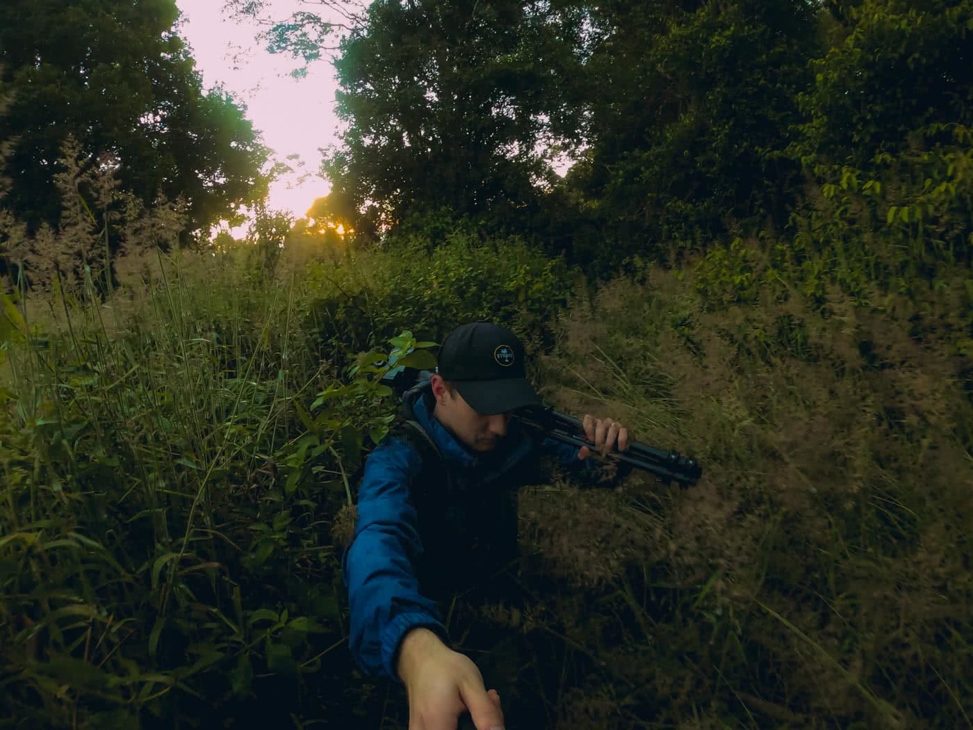 A Jurassic Peak Hidden In The Hinterlands // Mount Cougal (QLD) by Rhys Tattersall, overgrown trail