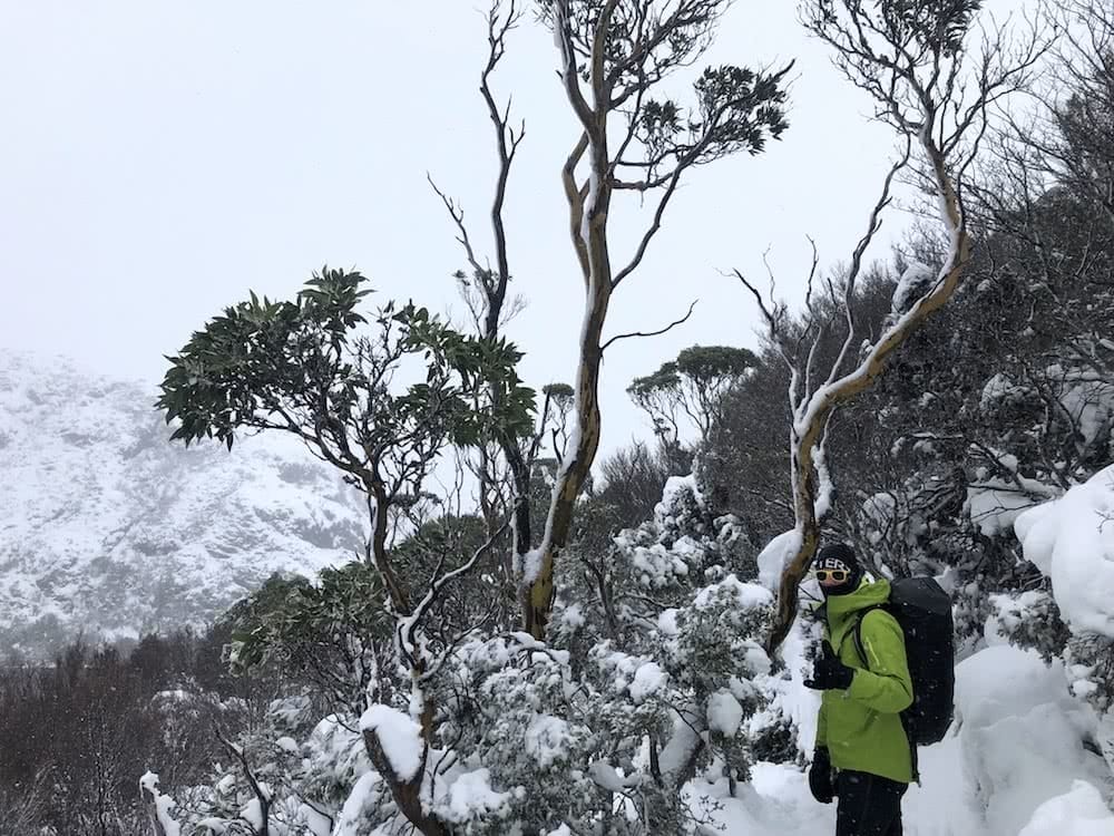 You Can Walk The Overland Track For Free (But There’s A Good Reason), photo by Dom Douglas, overland track, cradle mountain lake st clair, multi day hike, snow, tasmania