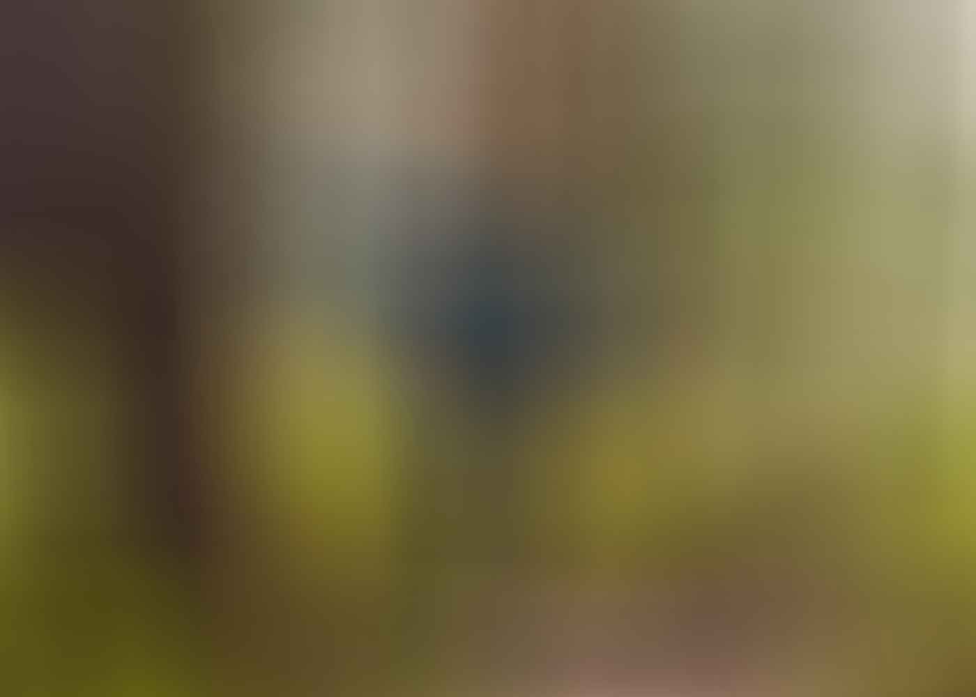 Miranda Fittock, I Tested A Full Kit Of Cheap ALDI Hiking Gear Over Nearly 100km, woman, jacket, trees, leaning