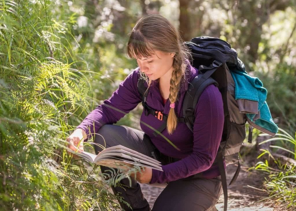 Aldi hiking boots top 2019