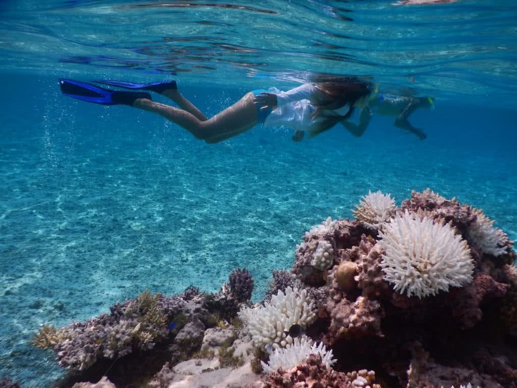 Save Your Skin & The Sea: Ocean Safe Sunscreen, Alice Forrest, snorkelling, reef, coral, pink, underwater, ocean