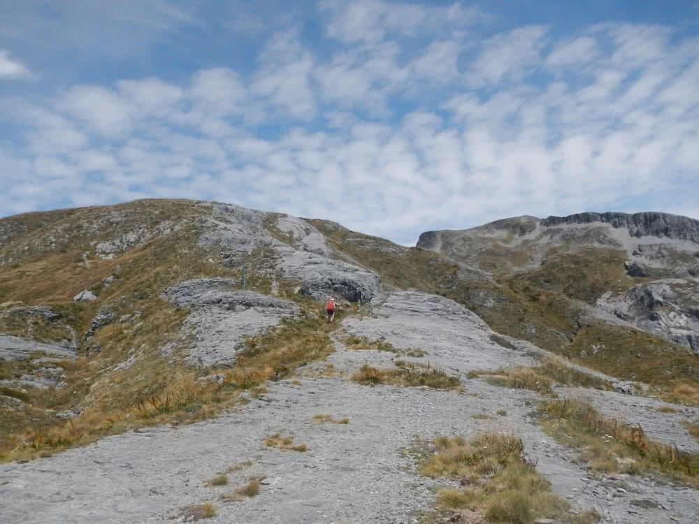 On the way up to mt arthur, photo by Myrthe Braam, Mt Arthur, hut hiking, Kahurangi National Park, New Zealand