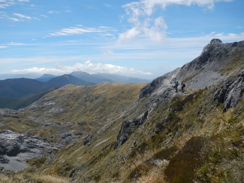 Tackle Mt Arthur, Whatever Your Skill Level in NZ's Kahurangi National ...