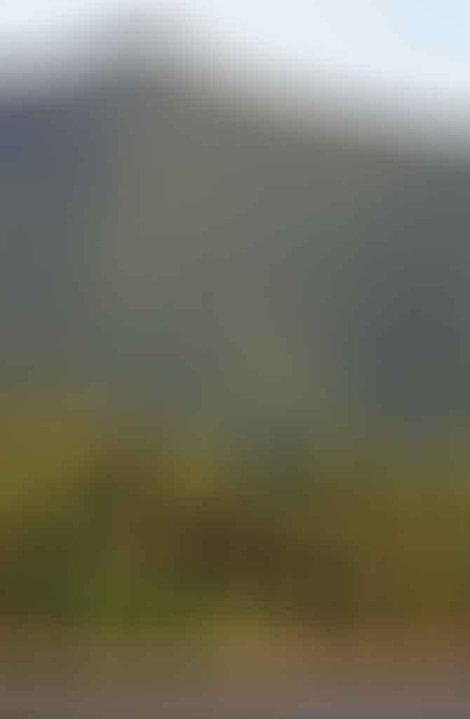 Land Before Time: Exploring the Daintree (QLD), Kate Stevens, Mt Sorrow, rainforest, mountains, beach, sky