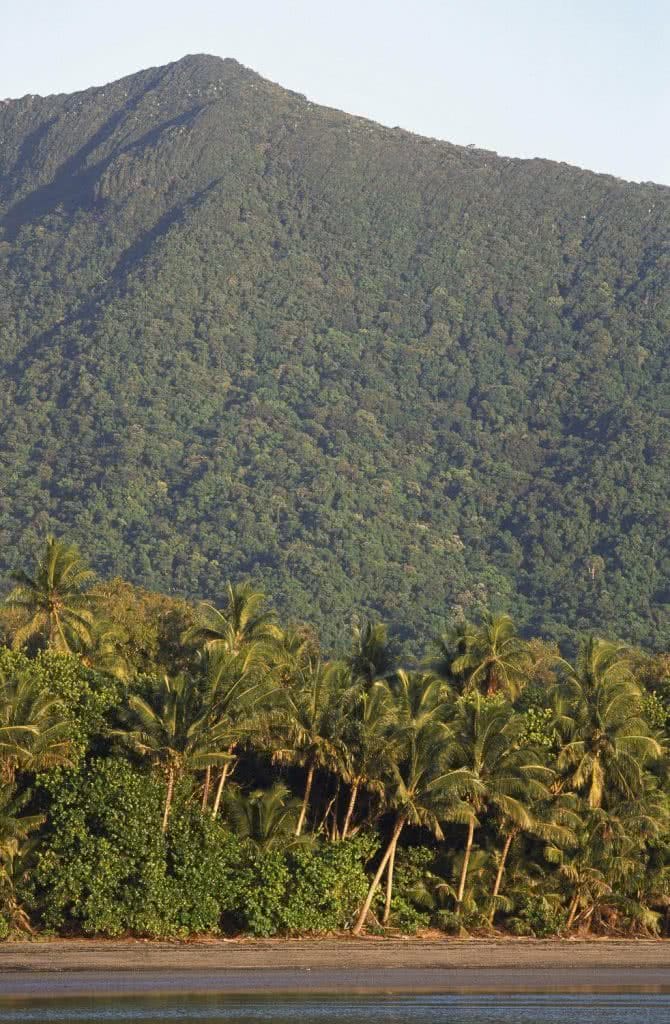 Land Before Time: Exploring the Daintree (QLD), Kate Stevens, Mt Sorrow, rainforest, mountains, beach, sky