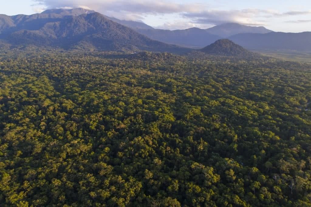 We're Buying A Hectare of Rainforest in Far North Queensland! Here's Why, Kate Stevens, mountains, rainforest, sky, landscape