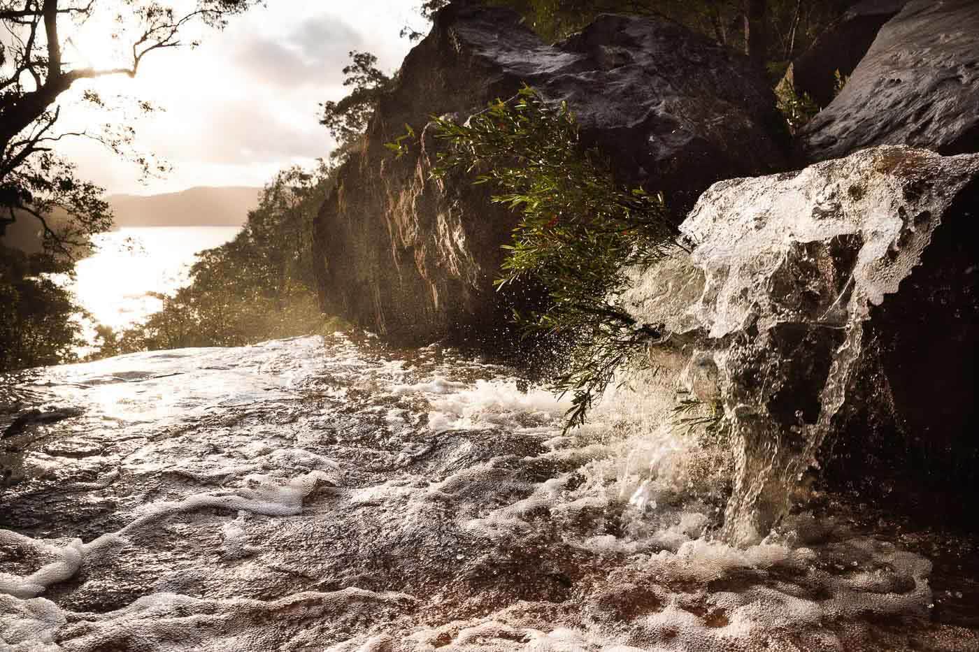 Wildflowers And Waterfalls At America Bay (NSW), Aedan O'Donnell, waterfall, stream, rocks, trees
