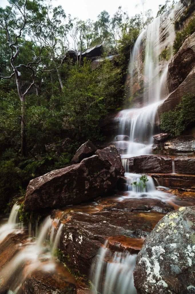 Wildflowers And Waterfalls At America Bay (NSW), Aedan O'Donnell, waterfall, rocks, trees