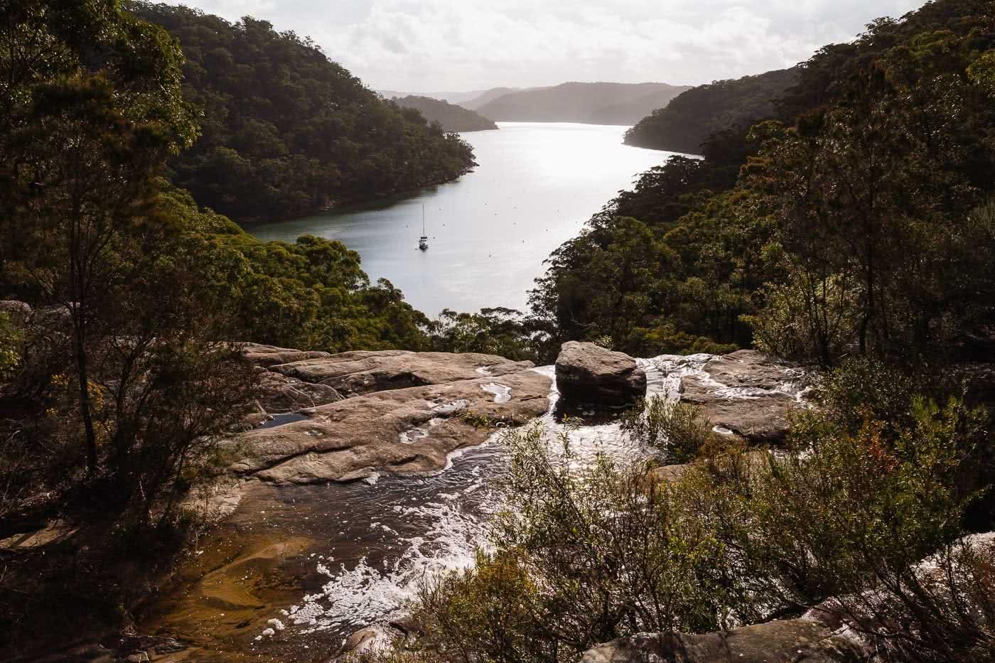 Wildflowers And Waterfalls At America Bay (NSW), Aedan O'Donnell, Hawkesbury River, rocks, trees, bay, waterfall