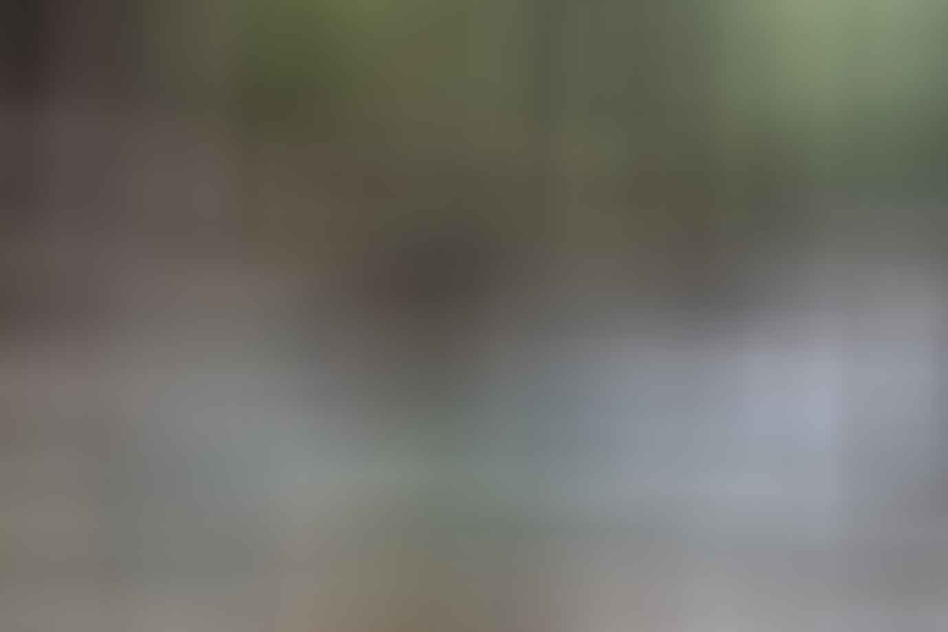 Bewildered // An Interview With Laura Waters by Mattie Gould, hiker, river crossing