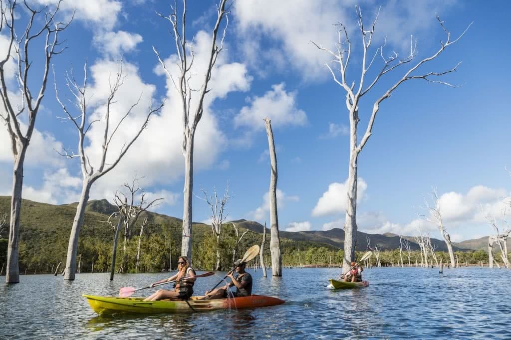 How Much Do You Really Know About New Caledonia?, photo supplied by New Cal tourism, credit Terres de Lumiäre NCTPS, kayak, water people, trees, sky