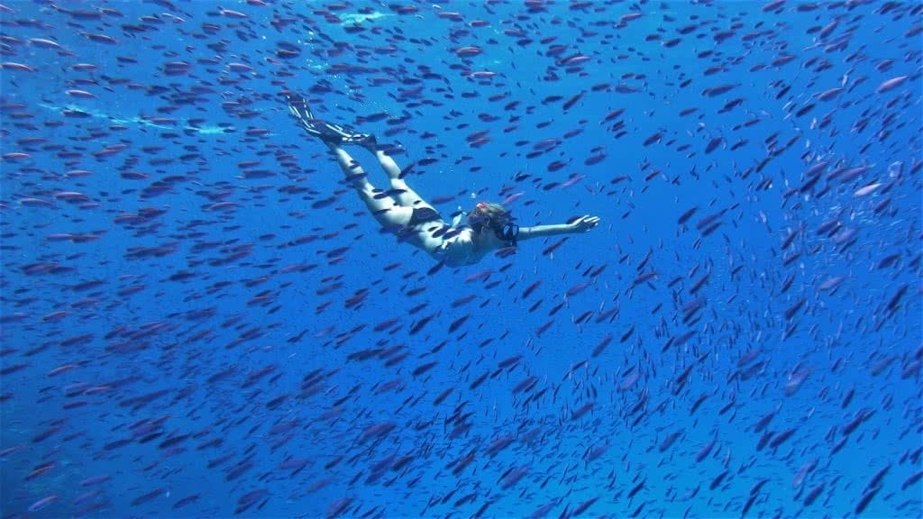 How Much Do You Really Know About New Caledonia?, photo supplied by New Cal tourism, snorkel, underwater, fish, blue, ocean