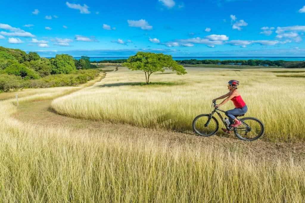 How Much Do You Really Know About New Caledonia?, photo supplied by New Cal tourism, big riding, grass, trees, path