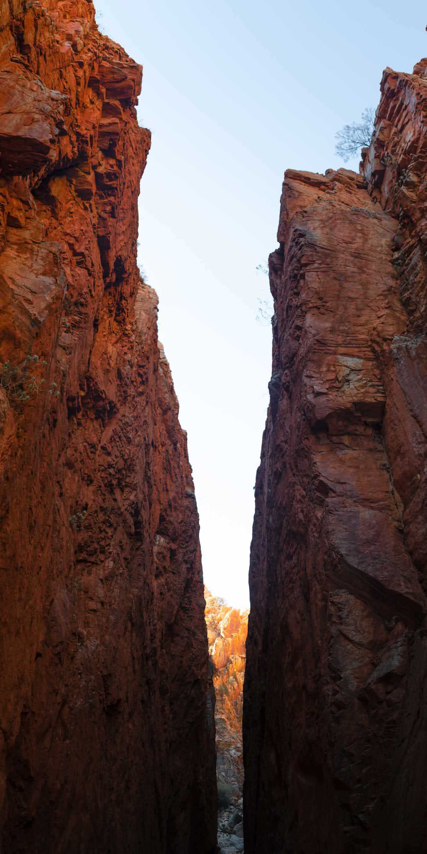 Capturing The Landscapes Of The Larapinta, Conor Moore, photo 11, Standley Chasm, Panorama, cliffs, sky, red rock, sunlight