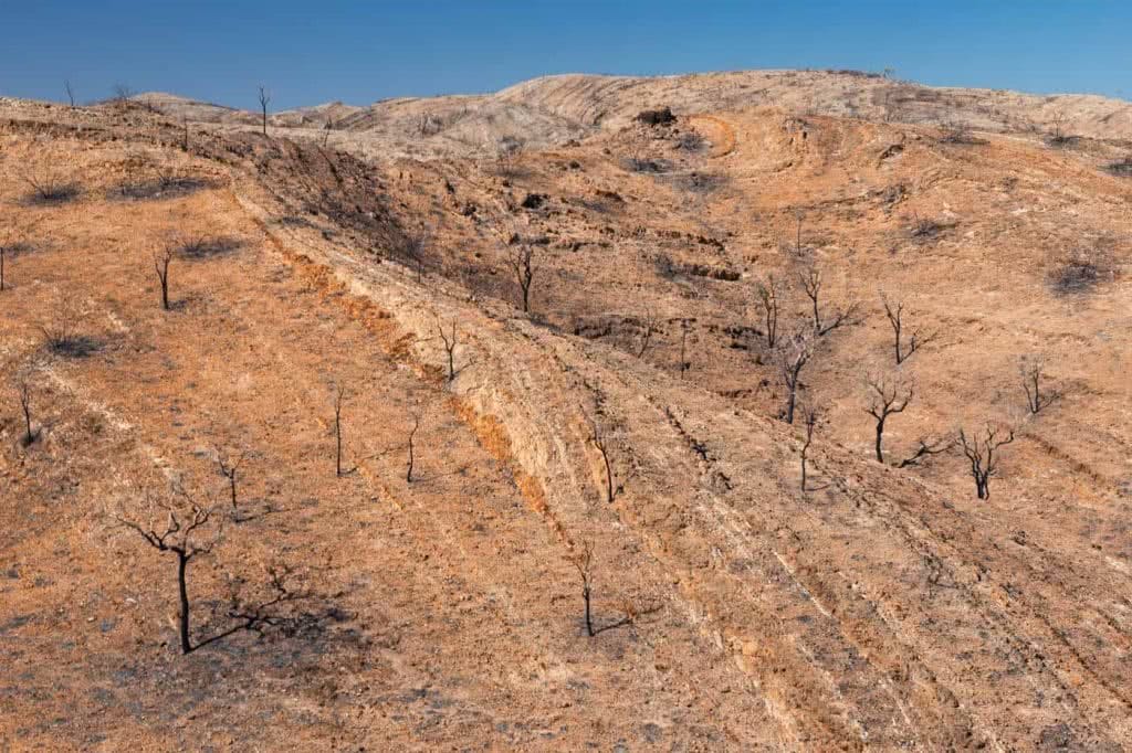 Capturing The Landscapes Of The Larapinta, Conor Moore, photo 5, section 9, desert, red dirt, trees