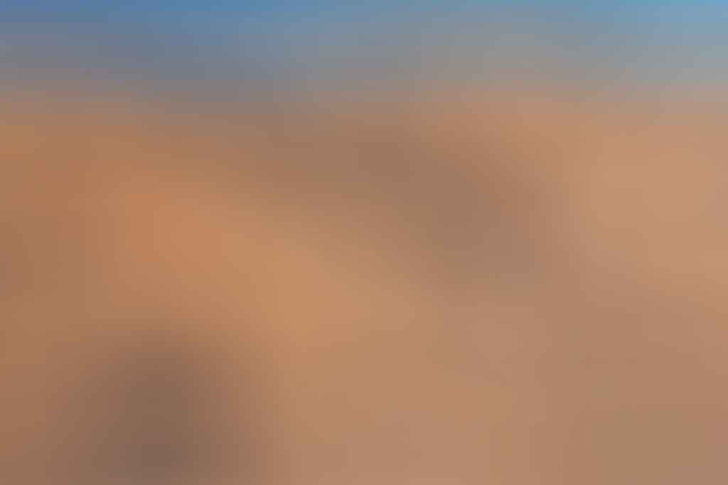 Capturing The Landscapes Of The Larapinta, Conor Moore, photo 5, section 9, desert, red dirt, trees