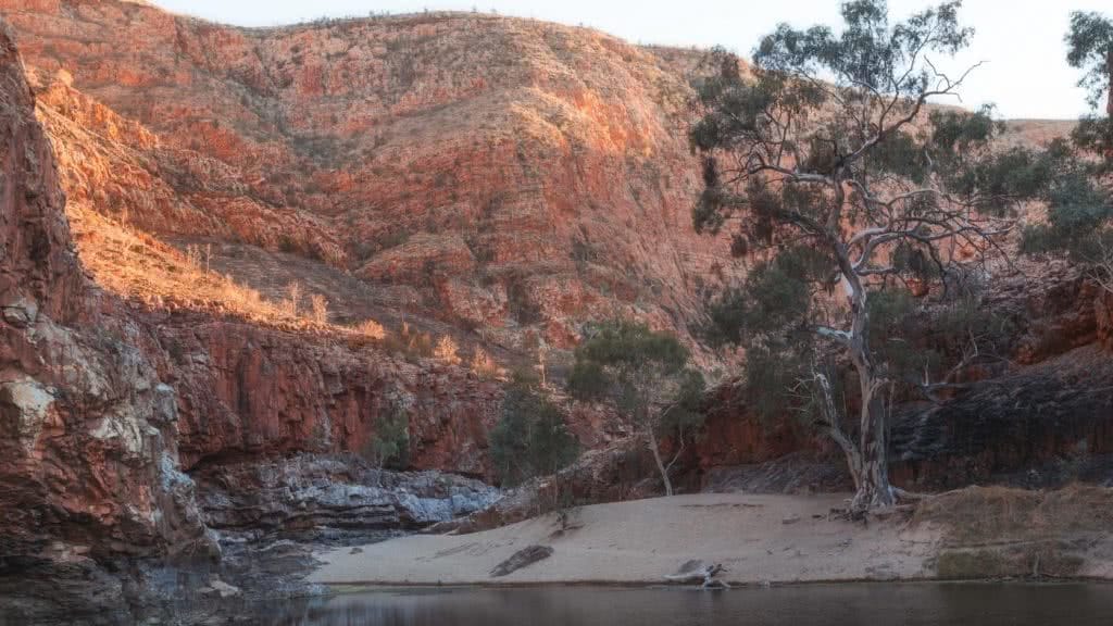 Capturing The Landscapes Of The Larapinta, Conor Moore, photo 4, ormiston gorge, creek, trees, red dirt, cliffs
