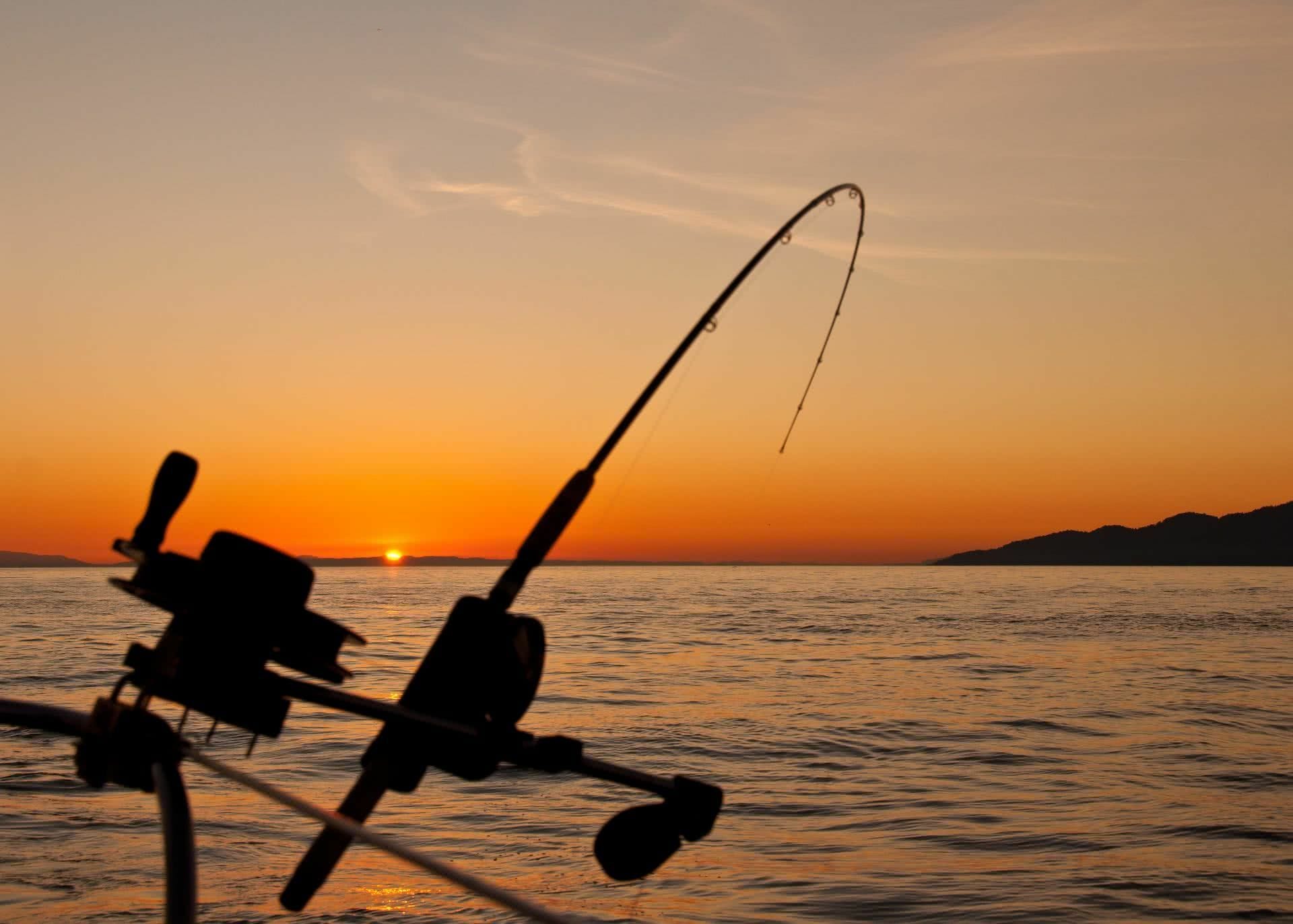 Best Fishing Spots In Sydney, photo by James Wheeler (unsplash), sunset, ocean, fishing rod