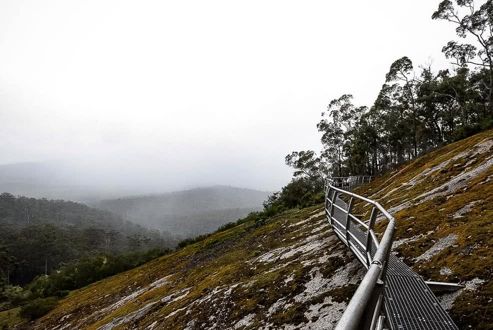 Forest Adventures In Mount Frankland National Park, photo by Megan Warner, western australia, caldyanup trail, boardwalk
