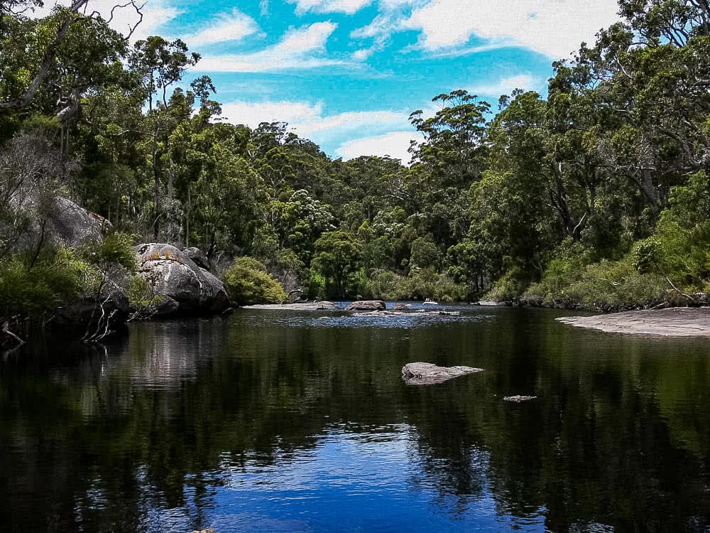 Forest Adventures In Mount Frankland National Park, photo by Megan Warner, western australia, deep river, wild swimming