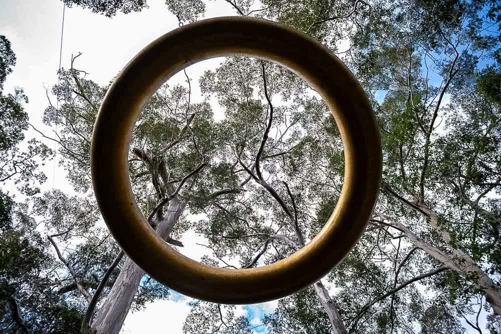 Forest Adventures In Mount Frankland National Park, photo by Megan Warner, western australiaForest Adventures In Mount Frankland National Park, photo by Megan Warner, western australia, art trail, feature at swarbrick