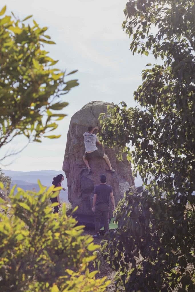 Outdoor Bouldering ‘Over The Fence’ In Canberra, Mattie Gould, boulder, climbing, trees, rock