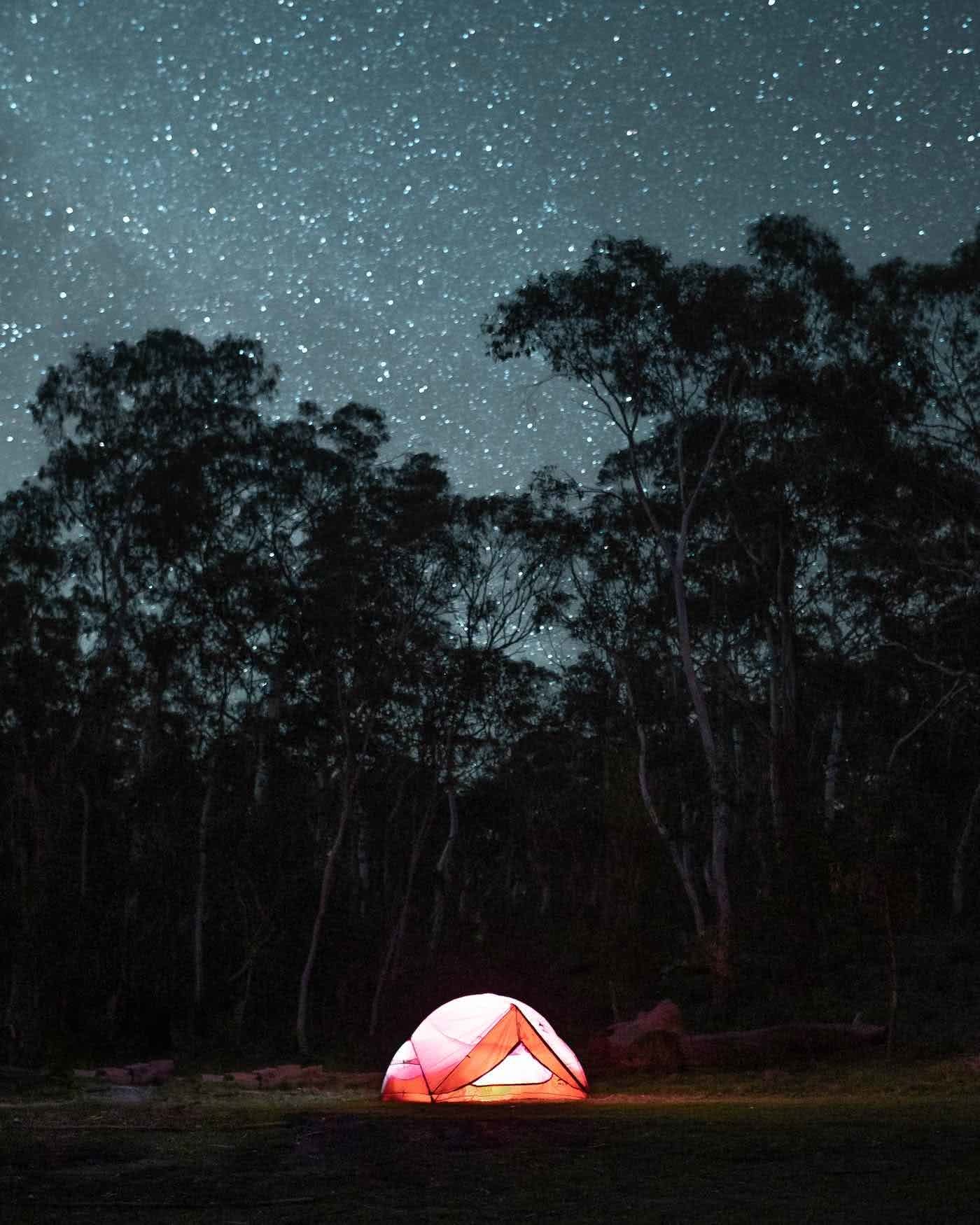 8 Great Reasons To Take Your Mates To Eurobodalla, photo by Fin Matson, Berlang Campground, astrophotography, tent, night sky, stars, gum trees, torch