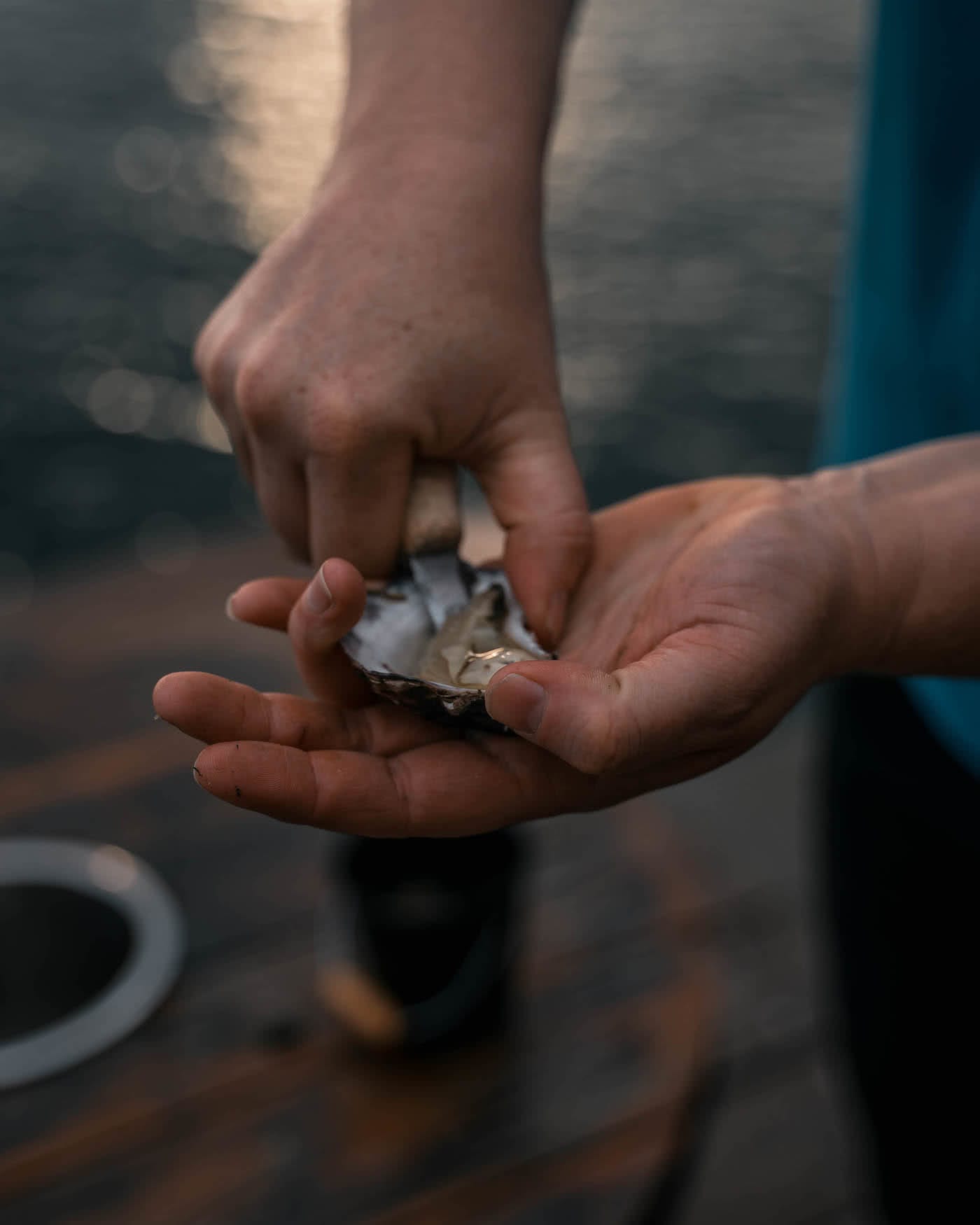 8 Great Reasons To Take Your Mates To Eurobodalla, photo by Fin Matson, Wray Street Oyster Shed, oyster, hand, shucking