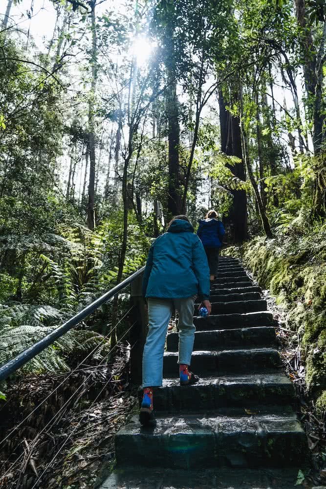 Team Timbuktu Tech Jacket // Gear Review, photo Jonathan Tan, Erskine Falls, rainforest, Amy, rain