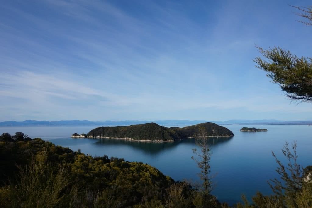 Make New Zealand Your Next Solo Road Trip Destination, Amy Fairall, Adele Island, Abel Tasman National Park, ocean, trees