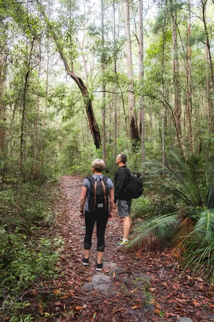 Fraser Island: Hiking To Lake McKenzie (No 4WD Required), Scott Pass, bush, people, path, trees, rainforest