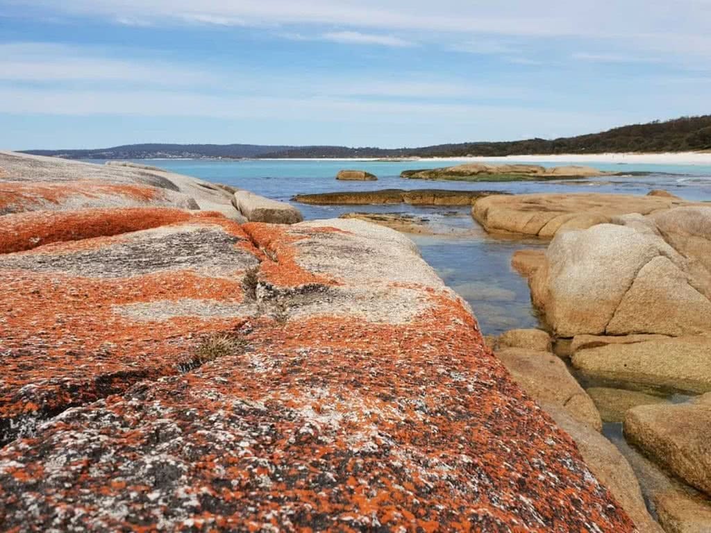 Family Fun At The Bay Of Fires, Leonie Waldron, lichen, rocks, water