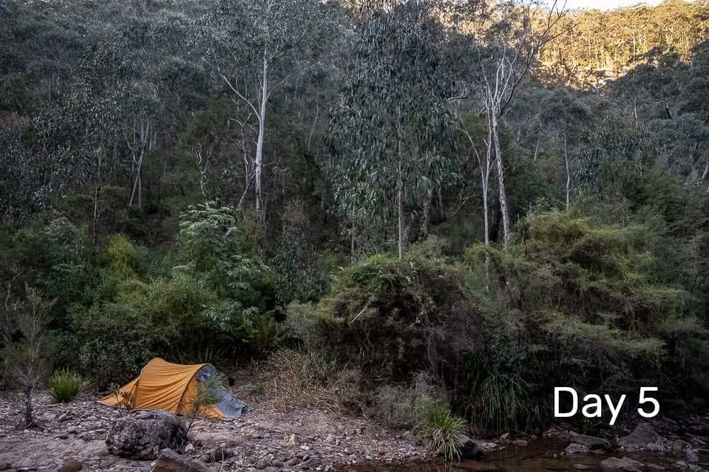 Day 5, Day 1, icebreaker, shot of tim ashelford, cool lite, 7 day challenge