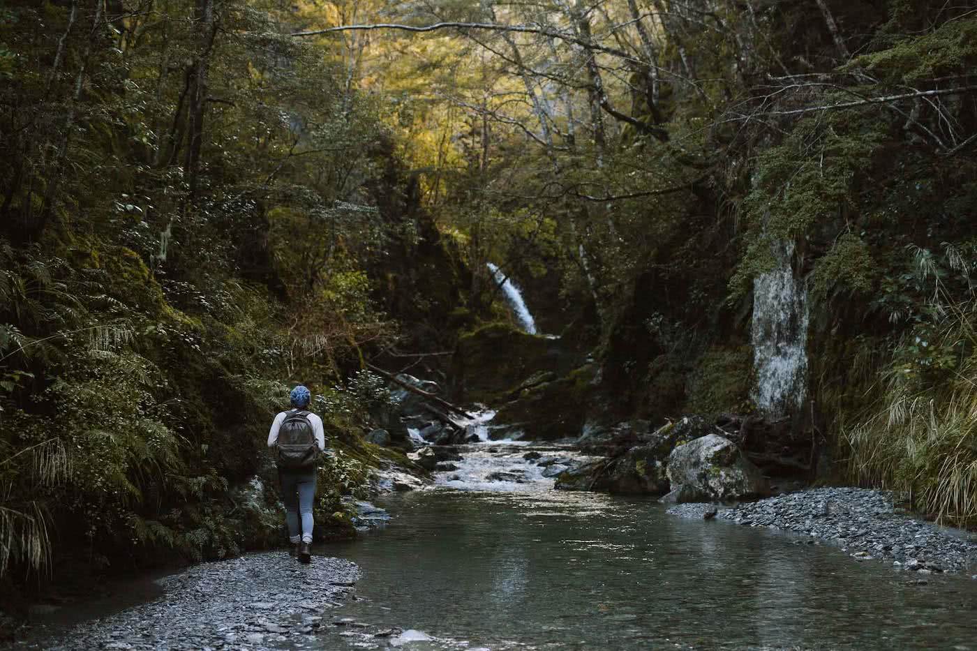 Take A Stroll Along The Mount Crichton Loop Track // Queenstown (NZ), Cedric Tang, Melody, river, stream, mountains, beech forest, trees