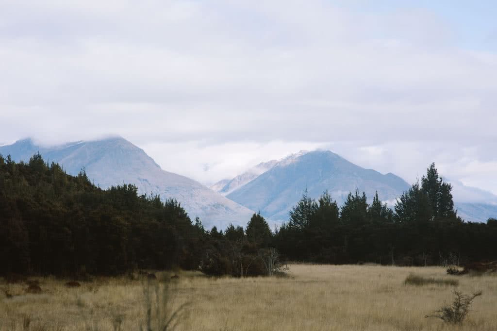Take A Stroll Along The Mount Crichton Loop Track // Queenstown (NZ), Cedric Tang, mountains, forest, trees, tussock grass