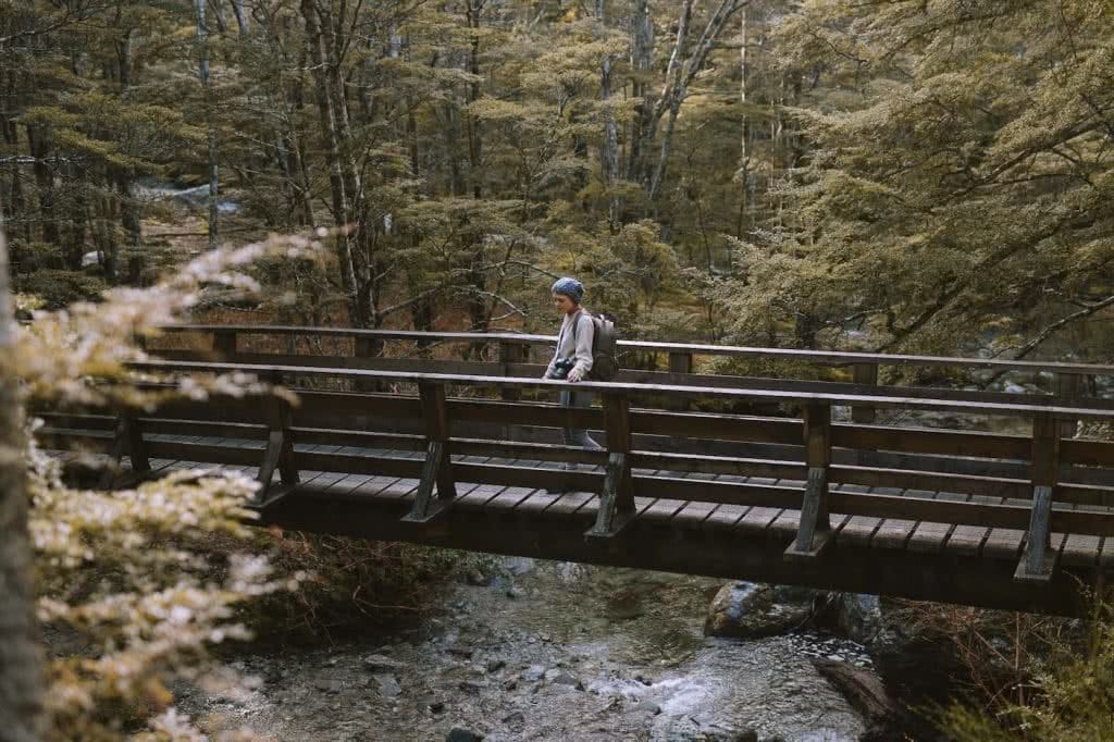 Take A Stroll Along The Mount Crichton Loop Track // Queenstown (NZ), Cedric Tang, bridge, melody, beech forest, stream, river