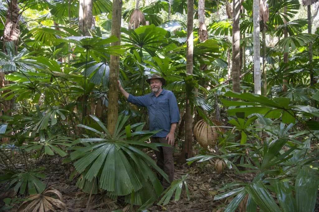 Protecting The Earth’s Oldest Rainforest // Interview With Kelvin Davies, photo by Steven Nowakowski, Kelvin, daintree, trees, palms