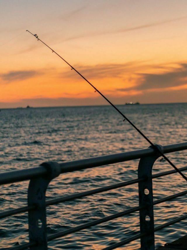 The 7 Best Fishing Spots  In and Around Melbourne